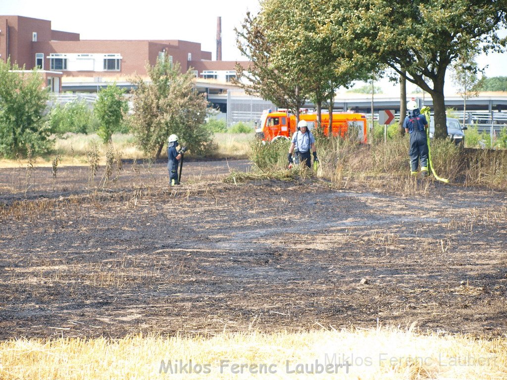 Bodenfeuer ausgeloest durch Strohballenpresse Koeln Holweide Colonia Allee P74.JPG